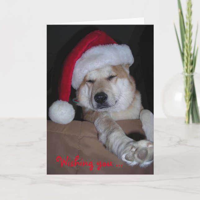 Mycket Shiba-Inu julkort Helgkort (Framsida)