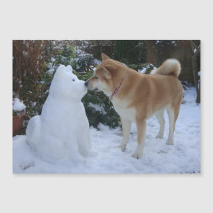 Mycket söt akita kysser snögubbe akita hund
