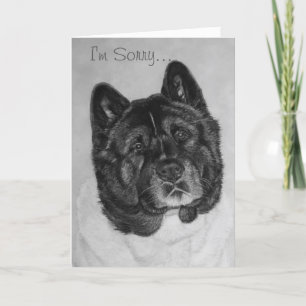 Mycket söt, svart brindle akita hund ledsen kort