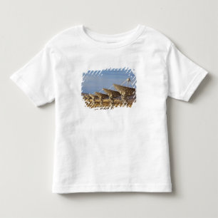 Mycket stor array aka National Radio Astronomy T-shirt