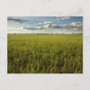 Mycket stor matris vykort