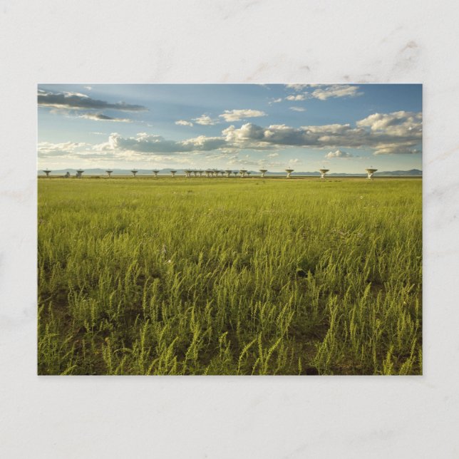 Mycket stor matris vykort (Framsida)