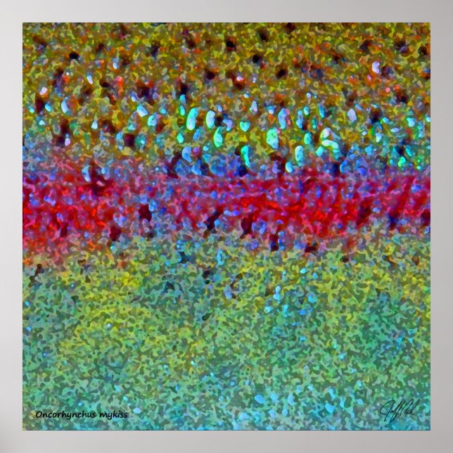 Mycket stor regnbåge Poster (Framsidan)