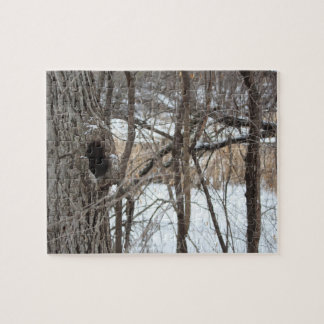 Mycket svårt pussel för plats för trädskogvinter