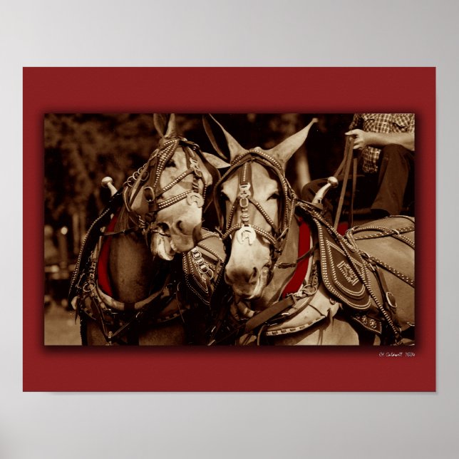 Mycket tal poster (Framsidan)