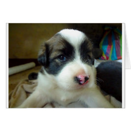 Mycket ung marionett Tittar Cute Hälsningskort