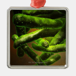 Mycobacteriumtuberkulos Julgransprydnad Metall