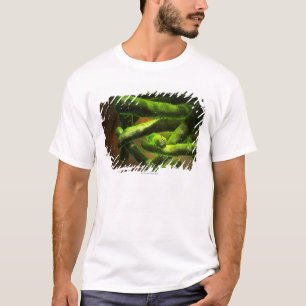 Mycobacteriumtuberkulos T-shirt
