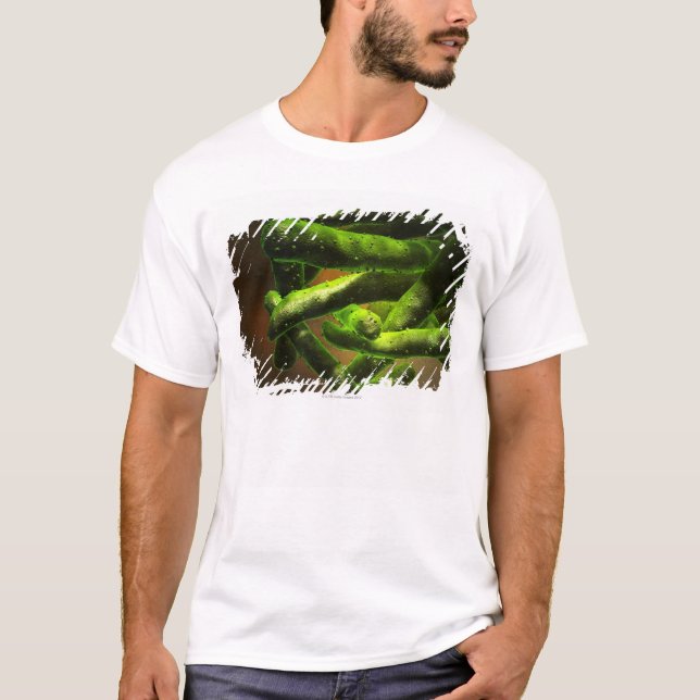 Mycobacteriumtuberkulos T-shirt (Framsida)