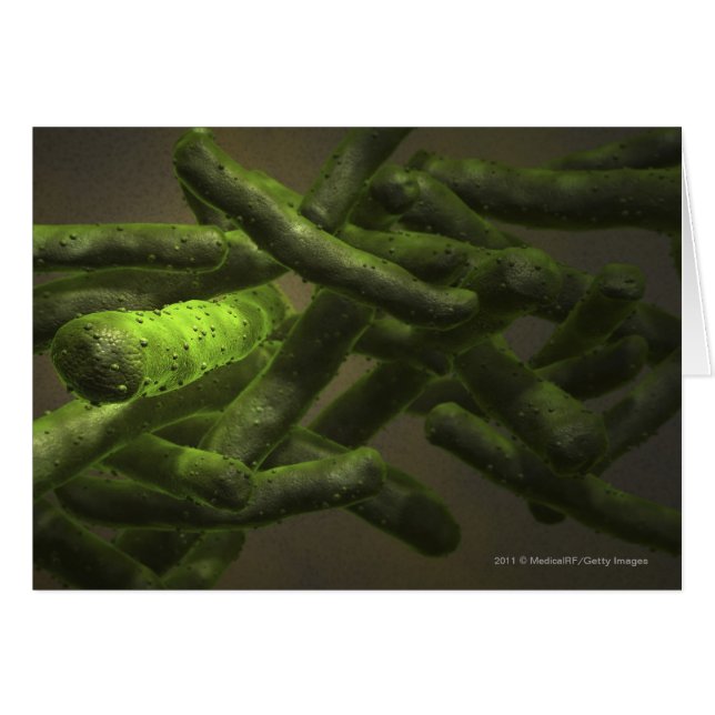 Mycobacteriumtuberkulosceller Hälsningskort (Framsidan Horizontal)