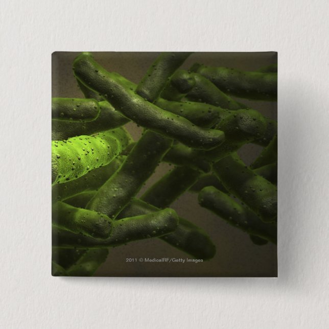 Mycobacteriumtuberkulosceller Knapp (Framsida)