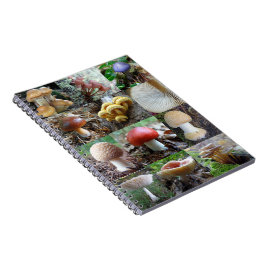 MycoJournal Anteckningsbok