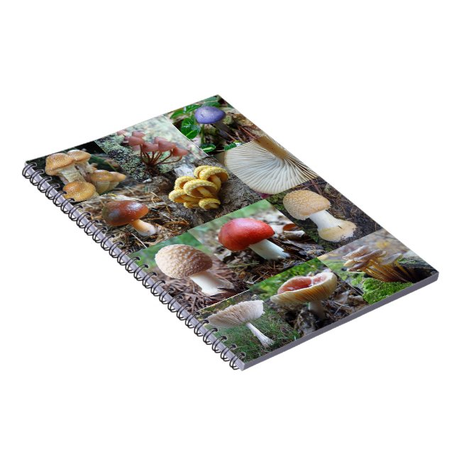 MycoJournal Anteckningsbok (Högra Sidan)