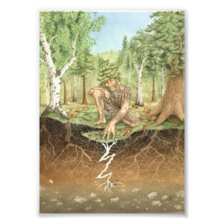 Mycorrhizal svampyad fototryck