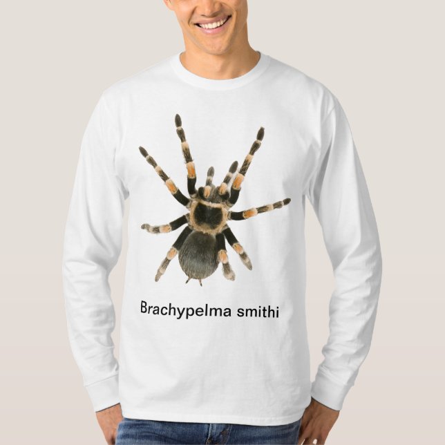 Mygale sur un t-shirt (Framsida)