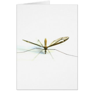 mygga hälsningskort