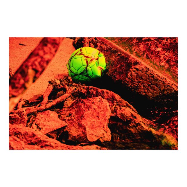 myggexploatör fototryck (Framsidan)