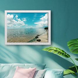 Myggosset Florida Vatten Blå Himmel Fototryck