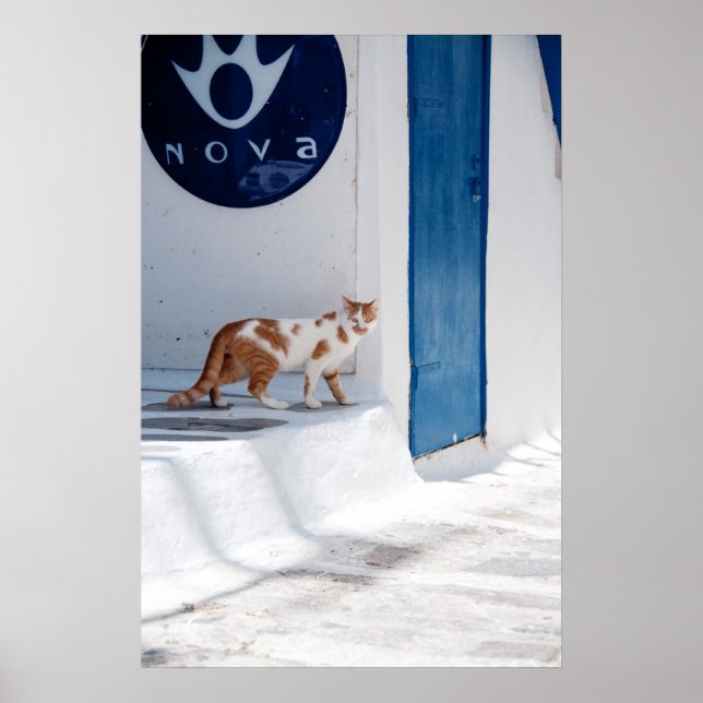 Mykonos cat - Poster (Framsidan)