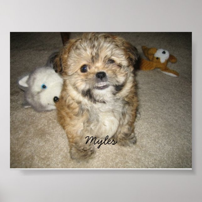 Myles Poster (Framsidan)