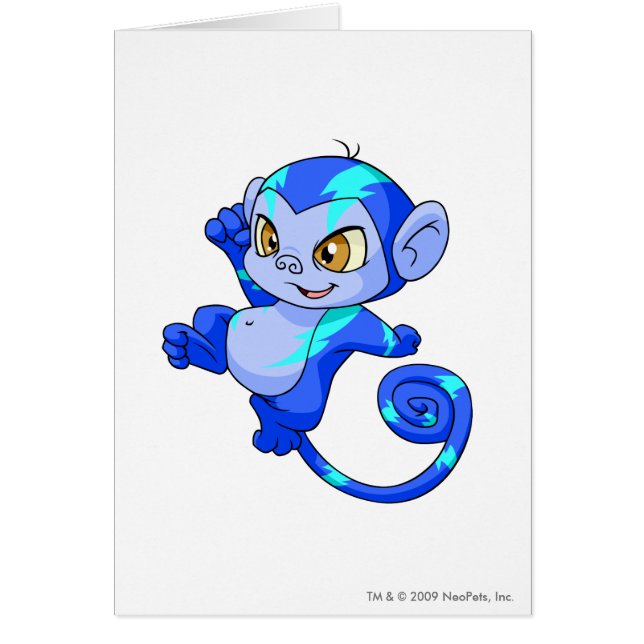 Mynci elkraft hälsningskort (Framsidan)