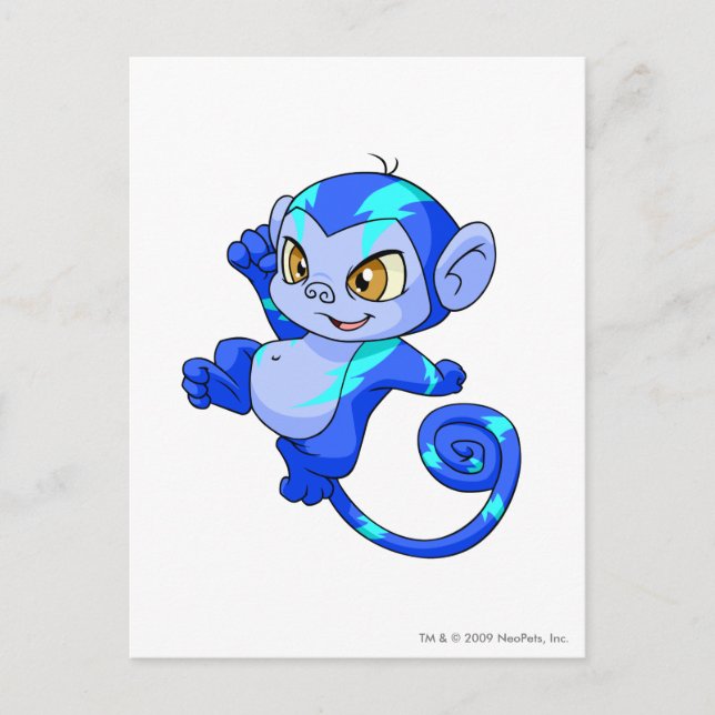 Mynci elkraft vykort (Framsida)