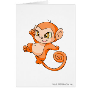 Mynci orange hälsningskort