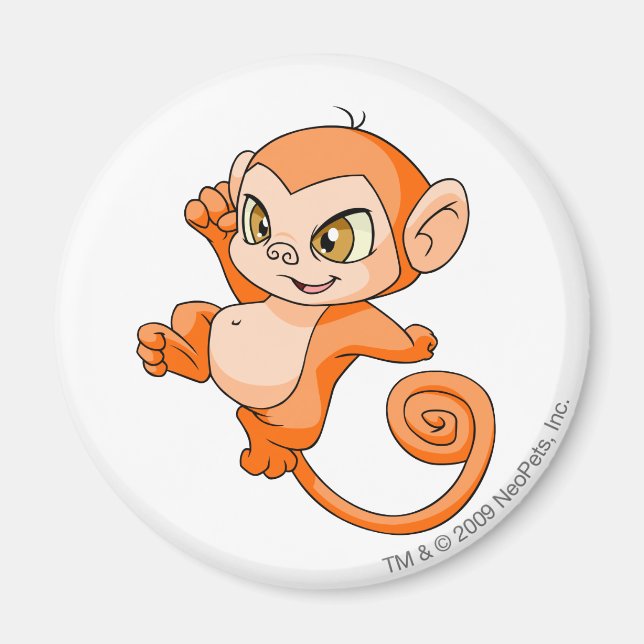 Mynci Orange Magnet (Framsidan)