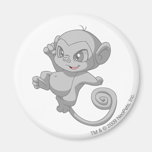 Mynci Silver Magnet (Framsidan)