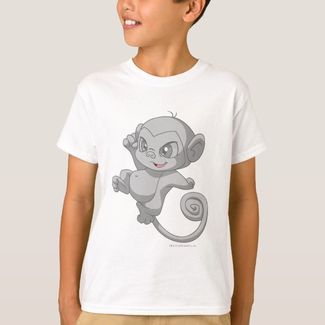 Mynci Silver T Shirt (Framsida)