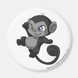 Mynci skuggar magnet