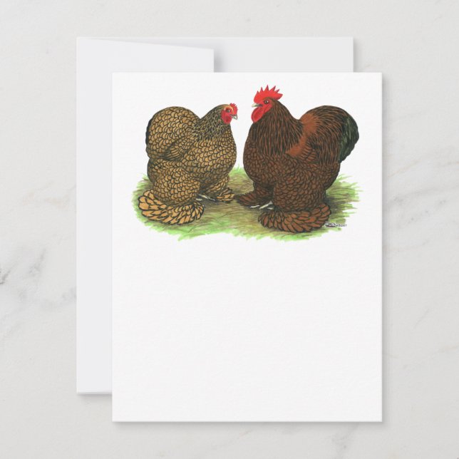 Mynt: Golden-laced (Framsida)