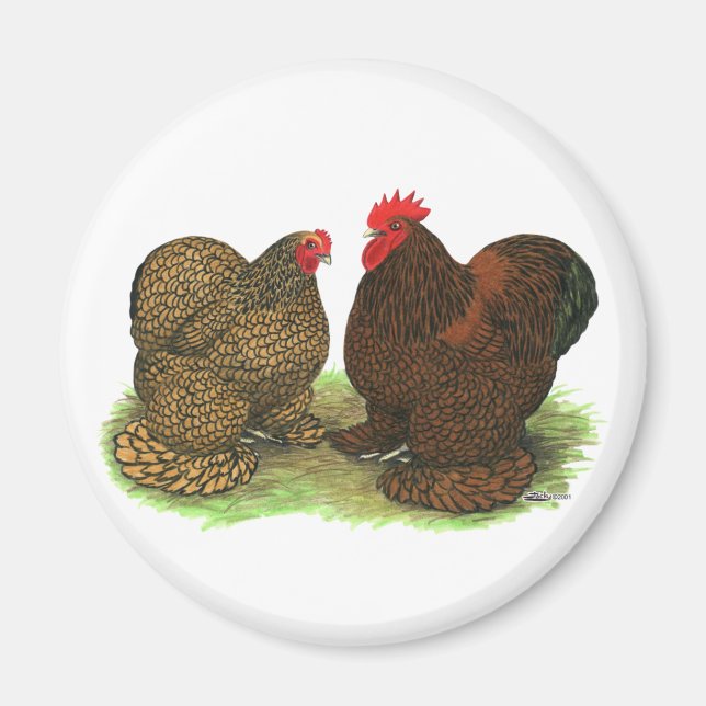 Mynt: Golden-laced Magnet (Framsidan)