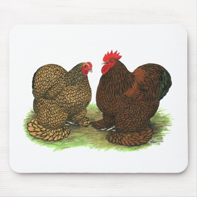 Mynt: Golden-laced Musmatta (Framsidan)