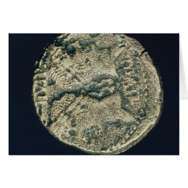 Mynt med Julius Caesars och Augustus chefer Hälsningskort (Framsidan Horizontal)