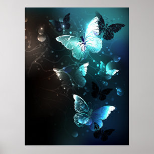 Myntnatt Fjärilar Poster