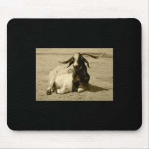 Myotonic Goat Relaxed Benidorm Tint Sticker Musmatta