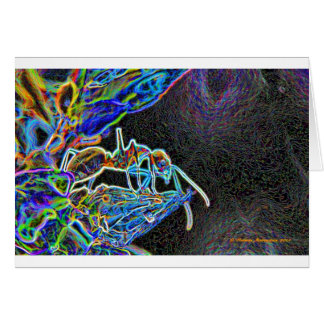 myra a1 hälsningskort