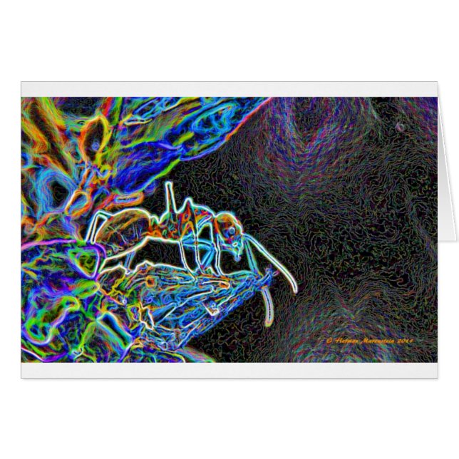 myra a1 hälsningskort (Framsidan Horizontal)