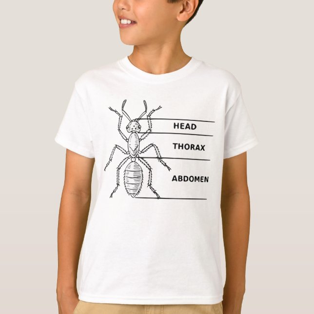 Myradiagram Tee Shirt (Framsida)