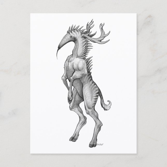 Myrmedeer - vykort (Framsida)