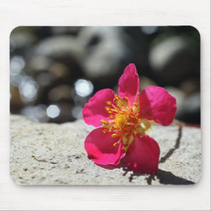 MyRosa Flower Musmatta