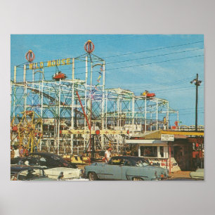 Myrtle Beach, SC ~ 1960 s ~ Gay Dolphin Park Poster