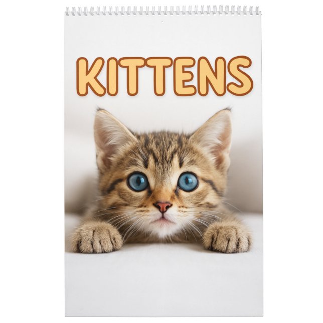  mysig Kat Fotografier | Söt Kattunge Katt Vägg  Kalender (Omslag)
