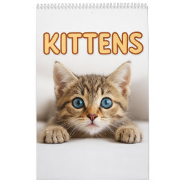 mysig Kat Fotografier | Söt Kattunge Katt Vägg Kalender