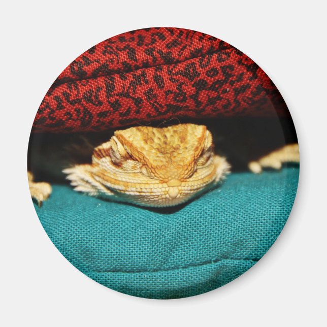 Mysiga böjda draken magnet (Framsidan)