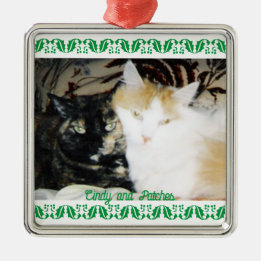 Mysiga foto två katter med Namn Grönt Holly Gräns Julgransprydnad Metall