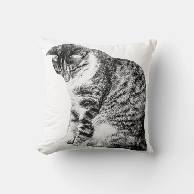 Mysiga hörn med skuggad kattnåd kudde (Framsida)
