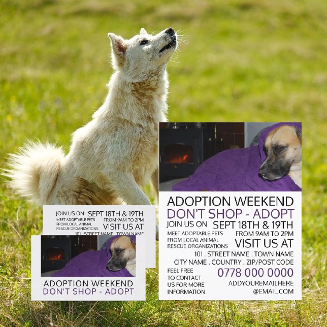 Mysiga Hund, Pet Adoption Event Advertising Flygblad (Skapare uppladdad)