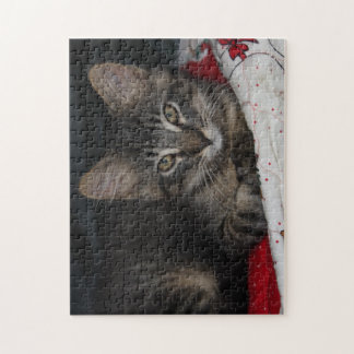 Mysiga Kat Caspian Puzzle Pussel